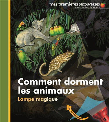 Comment dorment les animaux ?