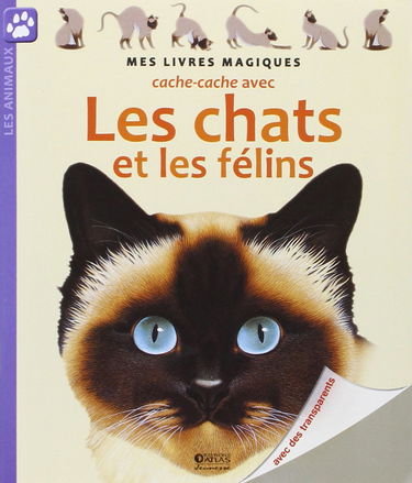 Cache-cache avec les chats et les félins|Mes livres magiques