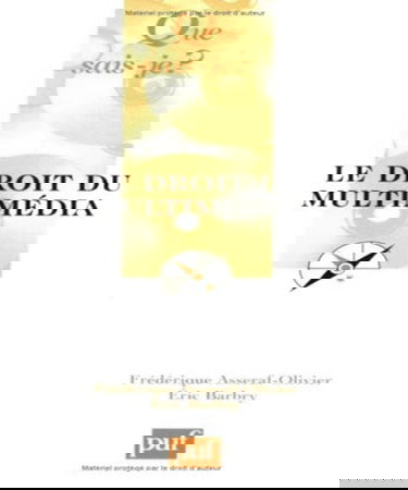 Le droit du multimédia : du CD-ROM à l'Internet