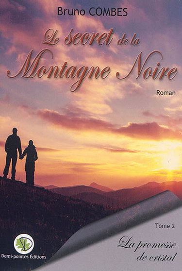 Couverture de Le secret de la Montagne Noire. Vol. 2. La promesse de cristal