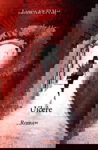 Ulcère : Roman