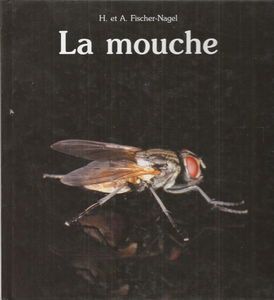 La Mouche
