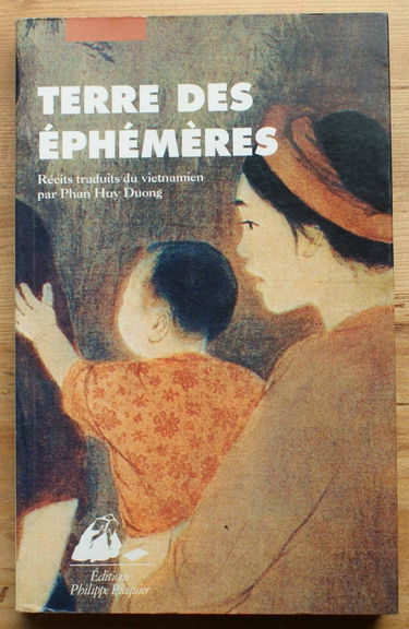 Terre des éphémères : nouvelles vietnamiennes contemporaines