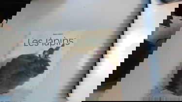 Les Lapins. Présentation des races et conseils d'élevage