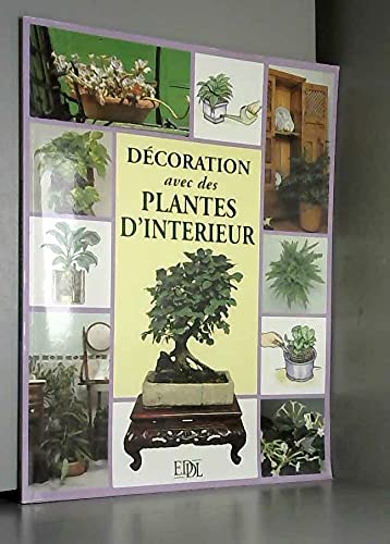 Décoration avec les plantes d'intérieur