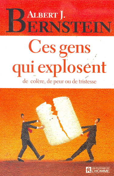 CES GENS QUI EXPLOSENT DE COLERE, DE PEUR OU DE TRISTESSE