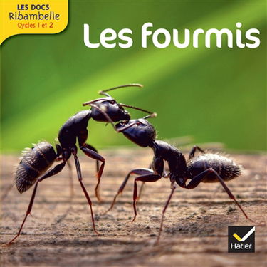 Les fourmis : cycle 2