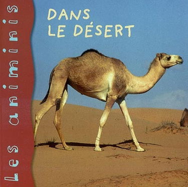 Dans le désert