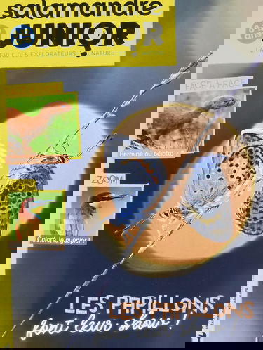 Salamandre junior n.137 - Papillons