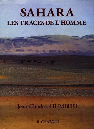 Sahara : les traces de l'homme