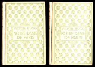 Notre-dame de paris 2 vol.