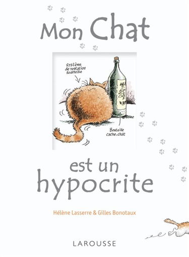 Mon chat est un hypocrite : et en plus il est gros