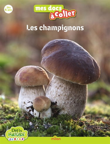 Bioviva : Les champignons