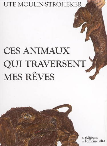 Ces animaux qui traversent mes rêves : chronique