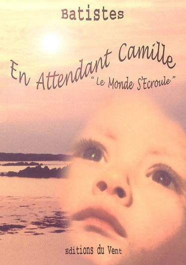 En attendant Camille... le monde s'écroule