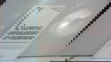 Clafoutis, gourgandine et vilbrequin : les mots des provinces de France