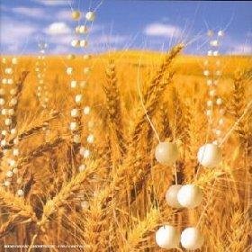 Couverture de Genetic World