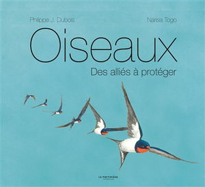 Oiseaux : des alliés à protéger