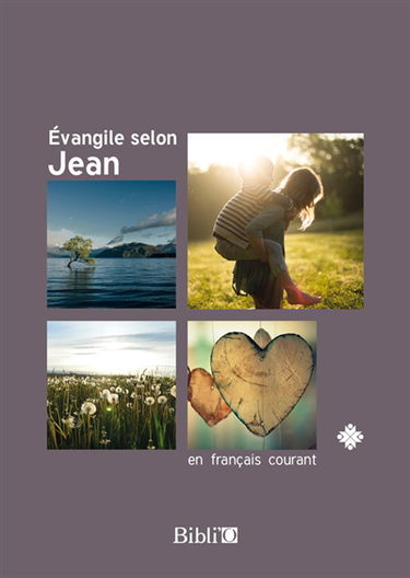 Evangile selon Jean : en français courant