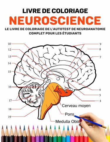 Couverture de Livre De Coloriage Neuroscience - Le livre de coloriage de l'autotest de neuroanatomie complet pour les étudiants: Le livre de coloriage ultime du ... les médecins, les infirmières et les adultes