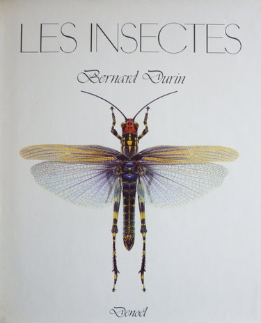 Couverture de Les insectes