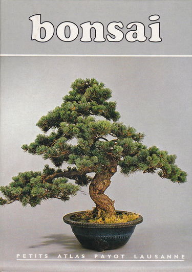 Bonsaï