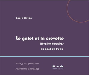 Le galet et la crevette : rêveries havraises au bord de l'eau