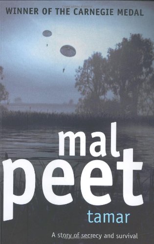Couverture de Tamar