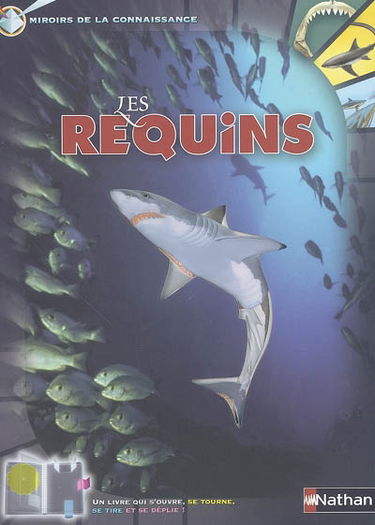 Les requins