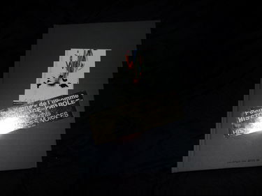 Pour les droits de l'homme : histoire(s), images(s), paroles(s)