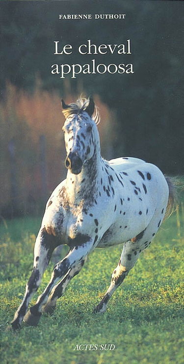 Le cheval appaloosa
