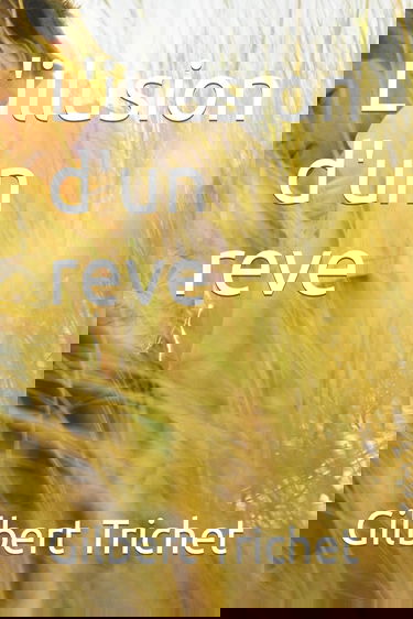L'illusion d'un reve
