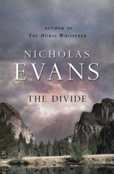 Couverture de The Divide