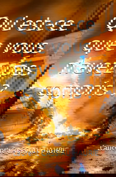 Qu’est-ce que vous n’avez pas compris ?