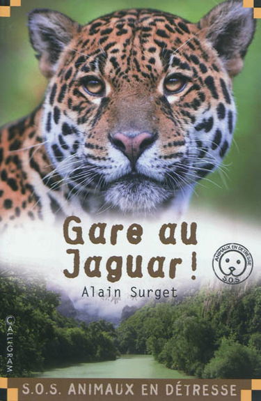 Gare au jaguar !