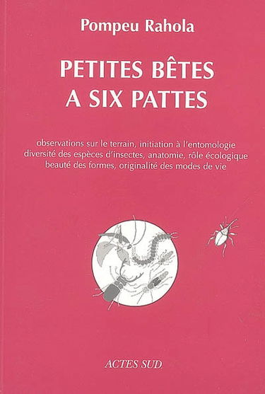 Petites bêtes à six pattes : observations sur le terrain, initiation à l'entomologie, diversité des espèces d'insectes, anatomie, rôle écologique, beauté des formes, originalité des modes de vie
