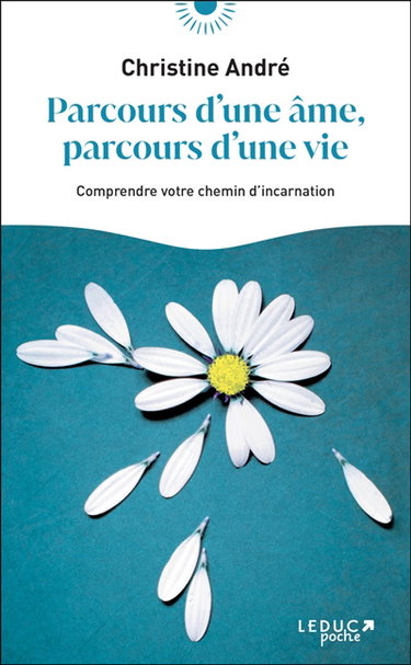 Parcours d'une âme, parcours d'une vie : comprendre votre chemin d'incarnation