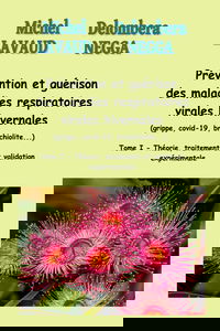 Prévention et guérison des maladies respiratoires virales hivernales (grippe, covid-19, bronchiolite,...): Tome I - Théorie, traitement et validation expérimentale