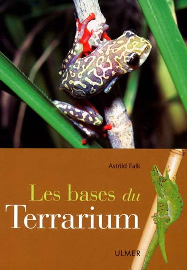 Les bases du terrarium