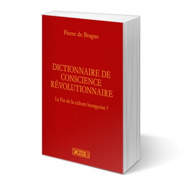 Couverture de Dictionnaire de conscience révolutionnaire