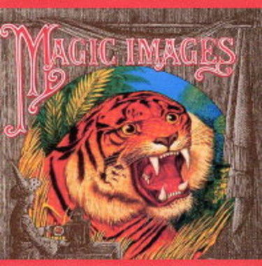 Couverture de Magic Images: The Art of the Hand-Painted and Photographic Lantern Slide
