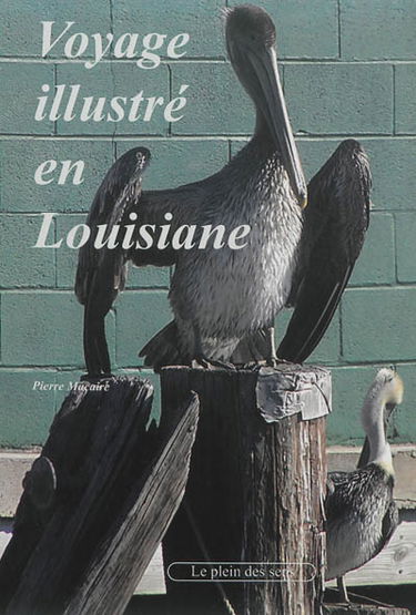 Voyage illustré en Louisiane