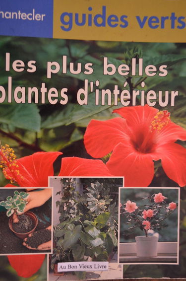 Les Plus Belles Plantes D'Interieur