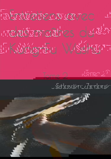 Entretiens avec des maîtres du Kung-Fu Wushu: Tome 2