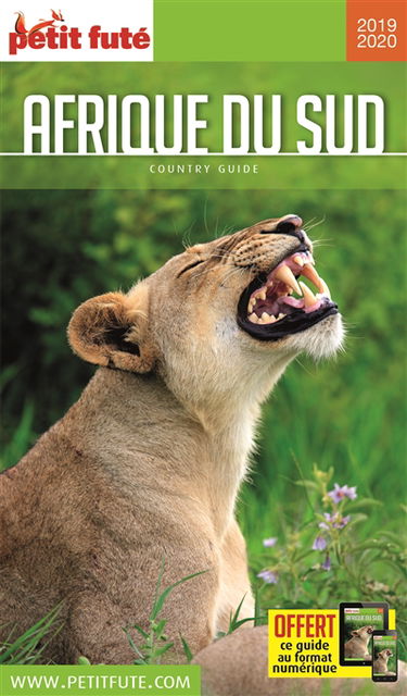 Afrique du Sud : 2019-2020