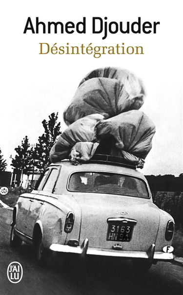 Désintégration : enfants d'immigrés : les racines du malaise