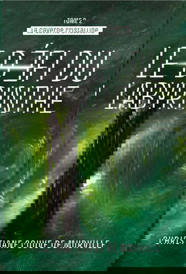 Le défi du labyrinthe