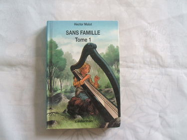 Sans famille Tome 1