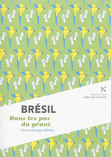 Brésil : dans les pas du géant