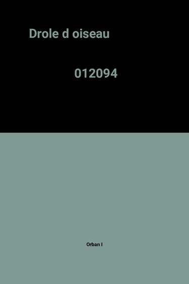Drôles d'oiseaux